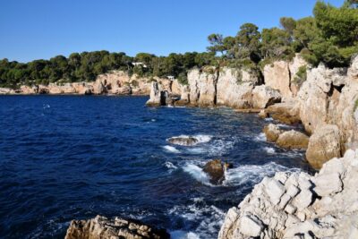 Saint Paul de Vence, Antibes, and Cannes from Nice - Antibes old town, a market-square stroll, then yachts at Billionaire’s Pier