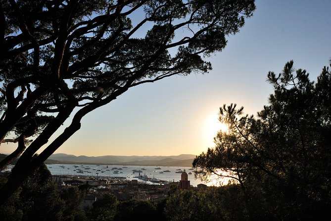 Saint-Tropez and Port Grimaud Day from Nice Small-Group Tour - Price and Value: When It Feels Fair, When It Doesn’t