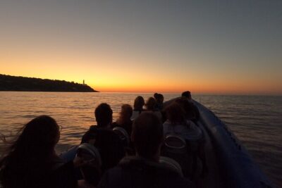 Sunset Bliss: Boat Excursion with Aperitif on French Riviera - St-Jean-Cap-Ferrat stop: nature-focused views and lighthouse energy