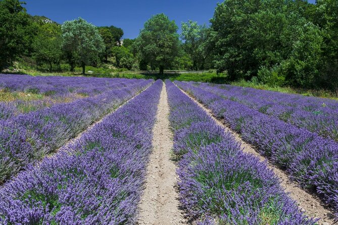 Verdon Canyon and its Lake Full Day Tour - Moustiers-Sainte-Marie: faience tradition and the amphitheater village shape