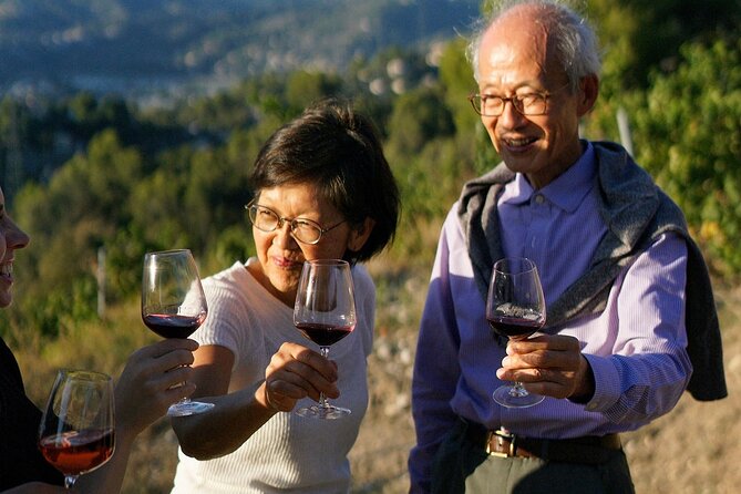 Vineyard Tour with Wine Tasting within Nice city borders - Small group size and English-friendly guiding