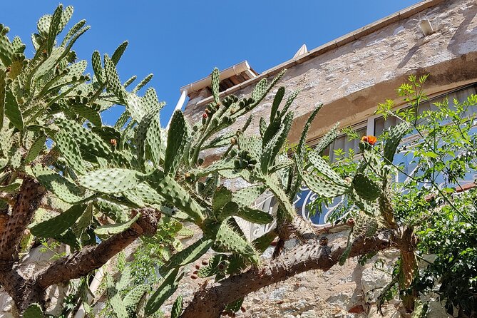 Visit of the Medieval Village of Èze - Start at Place du Centenaire: where the story begins
