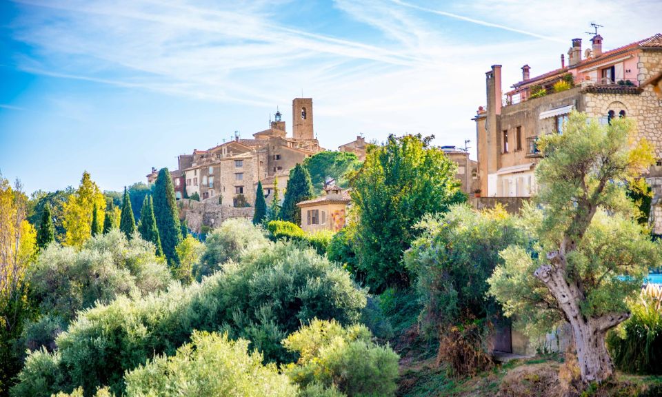 West Coast and Country Side full day Tour - Tourrettes-sur-Loup: violets, and a very short photo break
