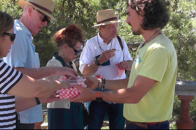 ★ Walking Tour of Old Nice and Castle Hill - Meeting at Fontaine du Soleil: start points and what you’ll feel right away